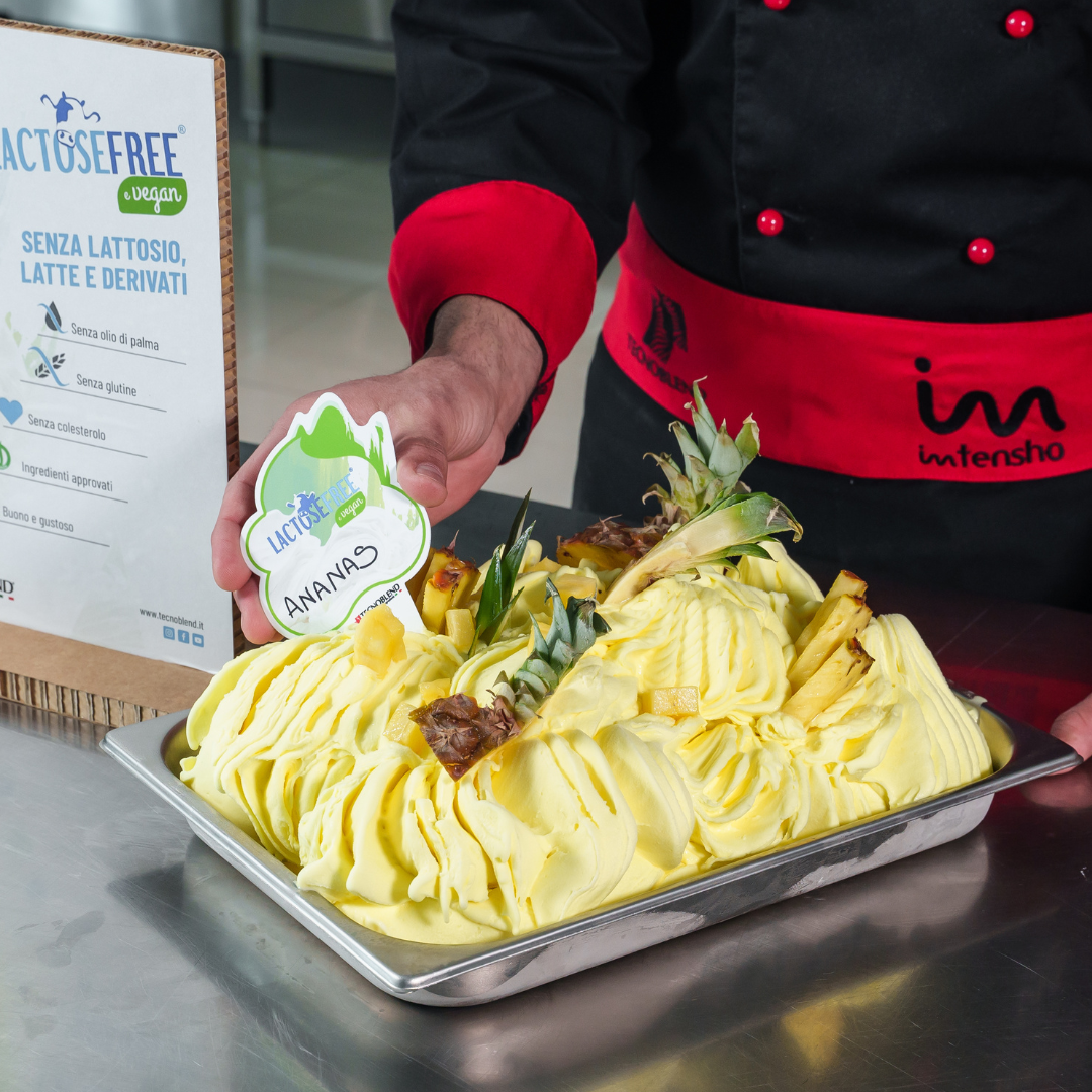 1.25 kg Pineapple Ice Cream Mix with Pieces, Lactose-Free, Vegan Friendly