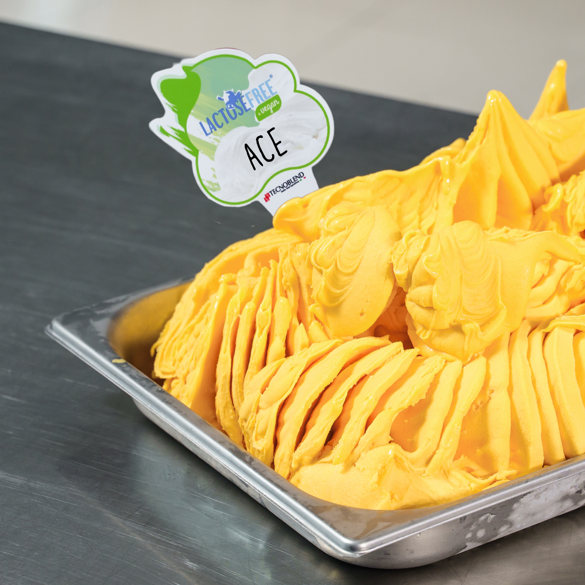 1.25 kg Lactose-free ACE Ice Cream Mix, suitable for vegans