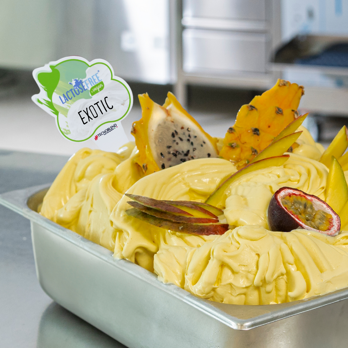 1.25 kg Exotic Fruit Ice Cream Mix, lactose-free, suitable for vegans
