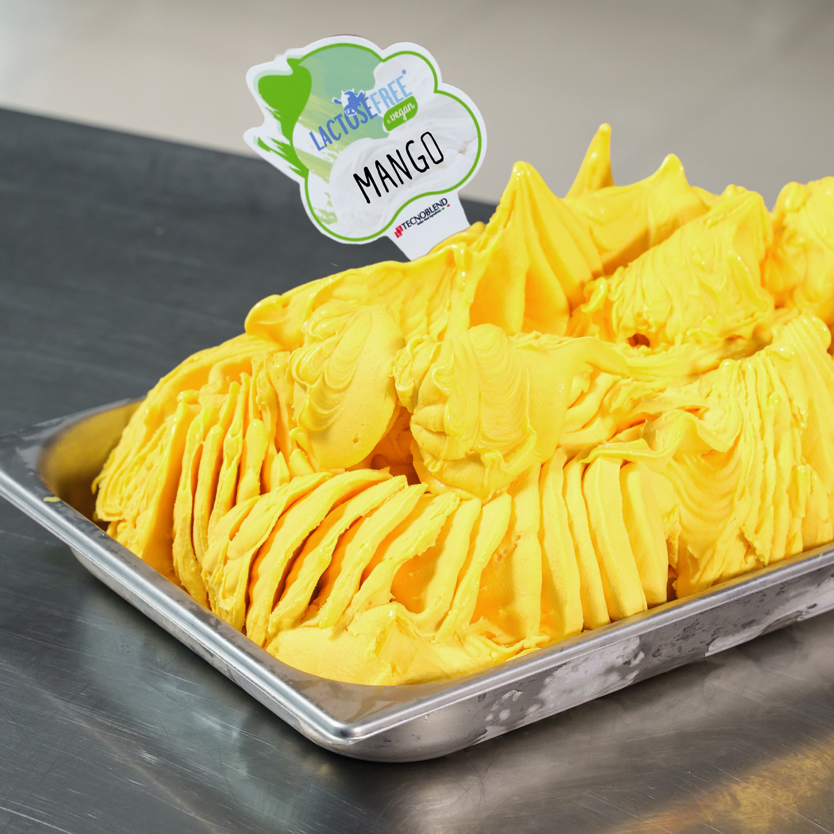 1.25 kg Alphonso Mango Ice Cream Mix with Pieces, Lactose-Free for Vegans