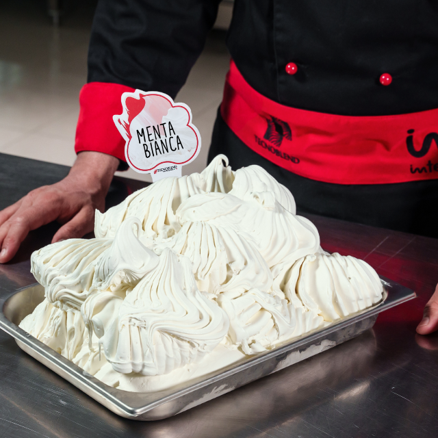 1.5 kg Ice Cream Mix, gluten-free, EASY WHITE MINT