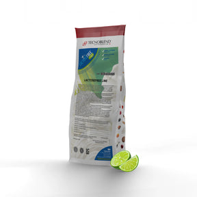 1.25 kg Lactose-free Lime Ice Cream Mix, suitable for vegans