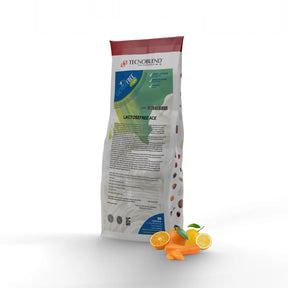 1.25 kg Lactose-free ACE Ice Cream Mix, suitable for vegans