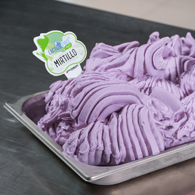 1.25 kg Blueberry Ice Cream Mix with Pieces, Lactose-Free, Vegan Friendly