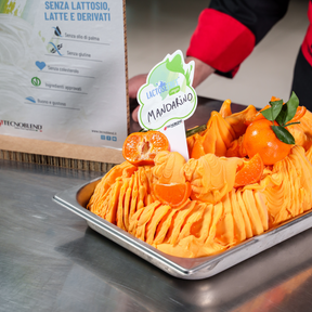 1.25 kg Lactose-free Mandarin Ice Cream Mix, suitable for vegans