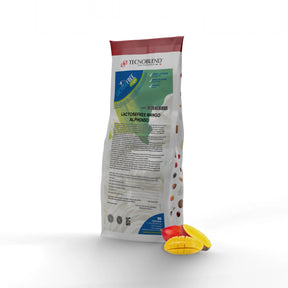 1.25 kg Alphonso Mango Ice Cream Mix with Pieces, Lactose-Free for Vegans