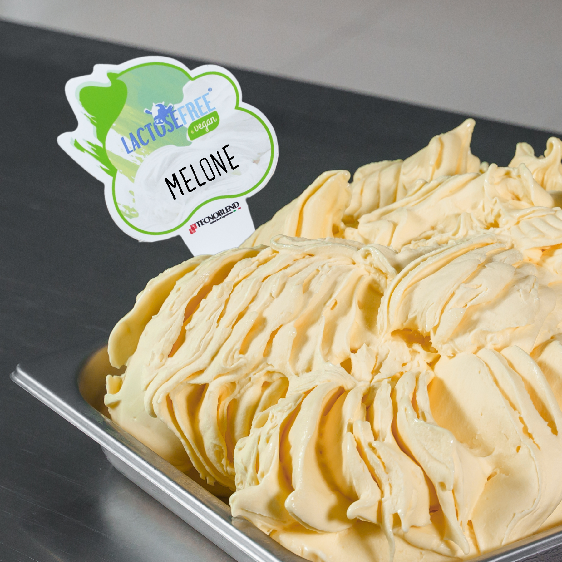 1.25 kg Melon Ice Cream Mix with Pieces, Lactose-Free, Vegan Friendly