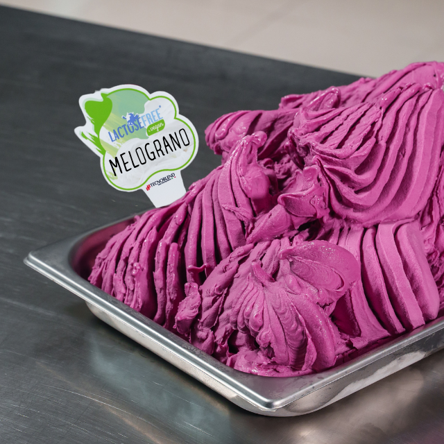 1.25 kg Pomegranate Ice Cream Mix, Lactose-Free for Vegans