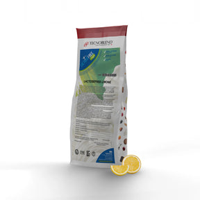 1.25 kg Lemon Ice Cream Mix, lactose-free, vegan