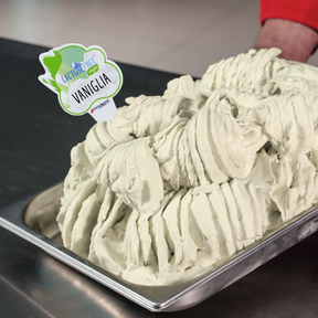 Lactose-Free Vanilla Ice Cream Mix, for Vegans