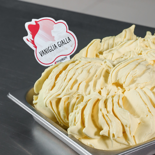 1.5 kg Ice Cream Mix with Bourbon Vanilla Beans, easy yellow vanilla