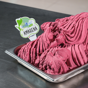1.25 kg Lactose-free and vegan Amarena Ice Cream Mix