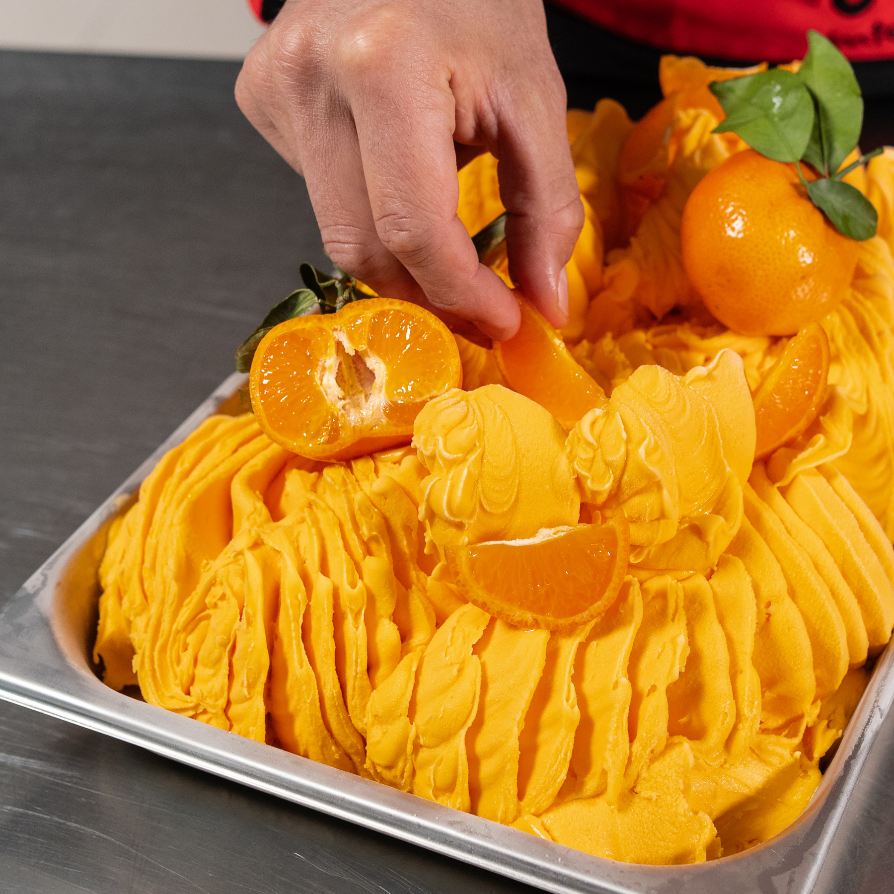 Cold stabilizer for fruit ice cream and sorbets - SORBET STABILIZER