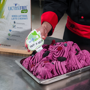 Mixed Berry Ice Cream Mix with Pieces, Lactose-Free, Vegan Friendly